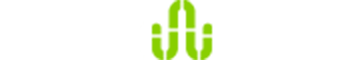 User's blog